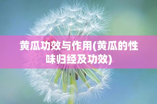 黄瓜功效与作用(黄瓜的性味归经及功效)