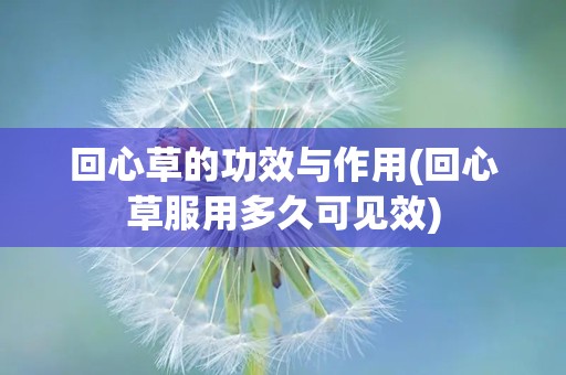 回心草的功效与作用(回心草服用多久可见效)