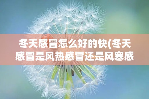 冬天感冒怎么好的快(冬天感冒是风热感冒还是风寒感冒)