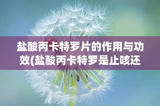 盐酸丙卡特罗片的作用与功效(盐酸丙卡特罗是止咳还是化痰)