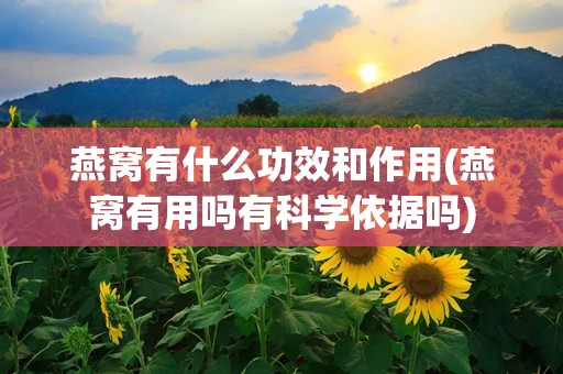 燕窝有什么功效和作用(燕窝有用吗有科学依据吗)