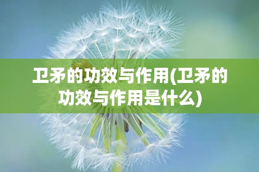 卫矛的功效与作用(卫矛的功效与作用是什么)