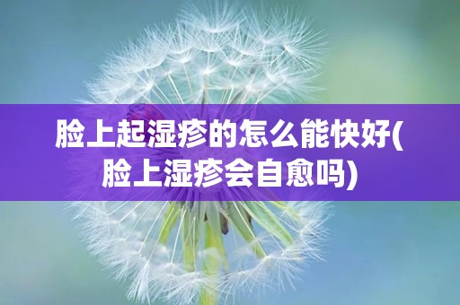 脸上起湿疹的怎么能快好(脸上湿疹会自愈吗)