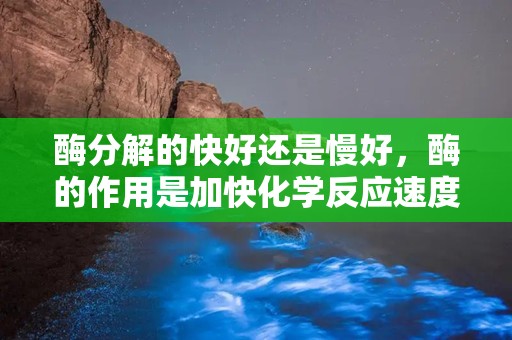 酶分解的快好还是慢好，酶的作用是加快化学反应速度还是促进营养物质的吸收