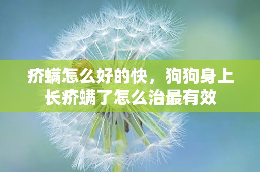 疥螨怎么好的快，狗狗身上长疥螨了怎么治最有效