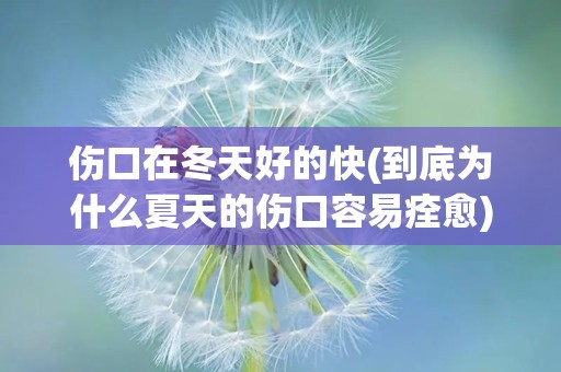 伤口在冬天好的快(到底为什么夏天的伤口容易痊愈)