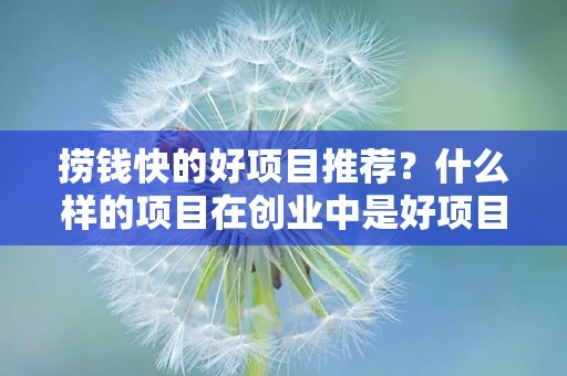 捞钱快的好项目推荐？什么样的项目在创业中是好项目