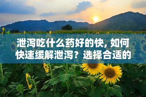 泄泻吃什么药好的快, 如何快速缓解泄泻？选择合适的药物治疗