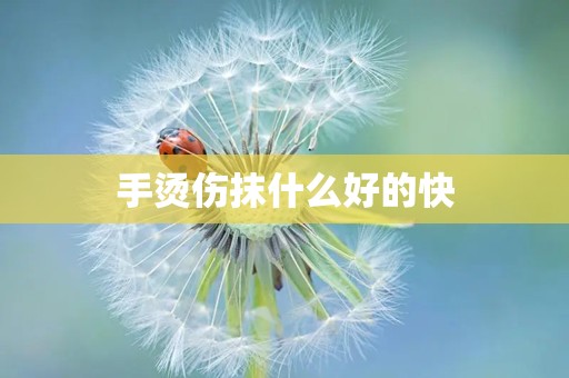 手烫伤抹什么好的快