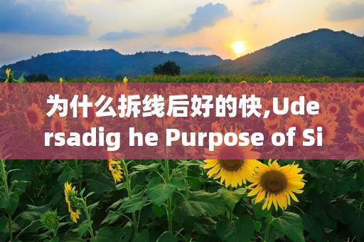 为什么拆线后好的快,Udersadig he Purpose of Siches