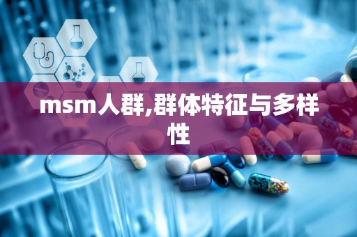 msm人群,群体特征与多样性