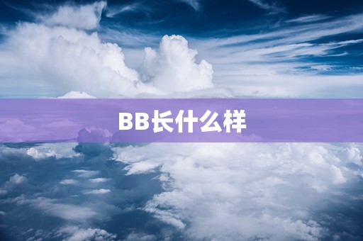 BB长什么样