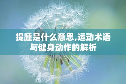 提踵是什么意思,运动术语与健身动作的解析