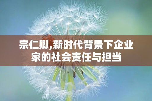 宗仁卿,新时代背景下企业家的社会责任与担当