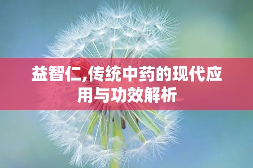 益智仁,传统中药的现代应用与功效解析