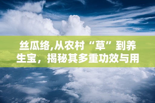 丝瓜络,从农村“草”到养生宝，揭秘其多重功效与用途