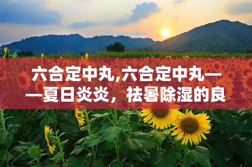 六合定中丸,六合定中丸——夏日炎炎，祛暑除湿的良药