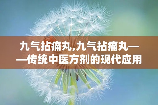 九气拈痛丸,九气拈痛丸——传统中医方剂的现代应用