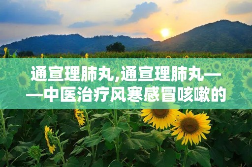 通宣理肺丸,通宣理肺丸——中医治疗风寒感冒咳嗽的良药