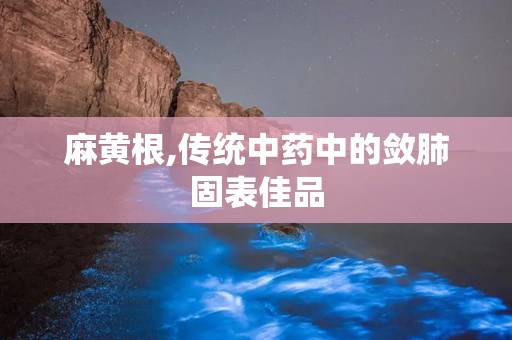 麻黄根,传统中药中的敛肺固表佳品