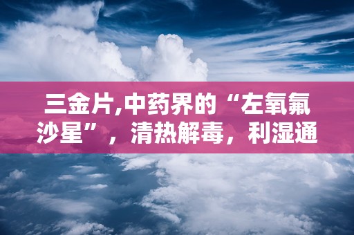 三金片,中药界的“左氧氟沙星”，清热解毒，利湿通淋