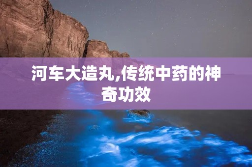 河车大造丸,传统中药的神奇功效