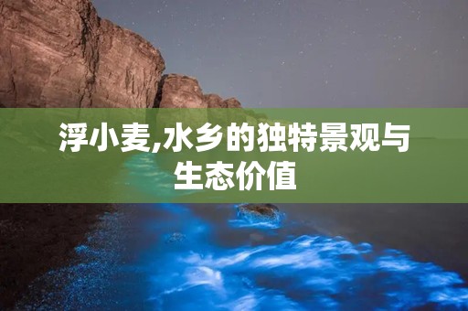 浮小麦,水乡的独特景观与生态价值