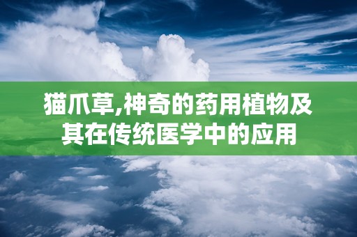 猫爪草,神奇的药用植物及其在传统医学中的应用