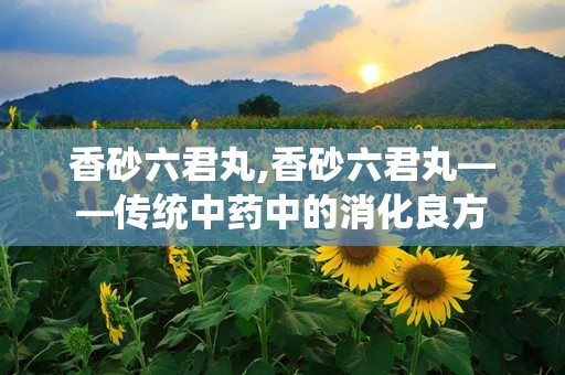 香砂六君丸,香砂六君丸——传统中药中的消化良方