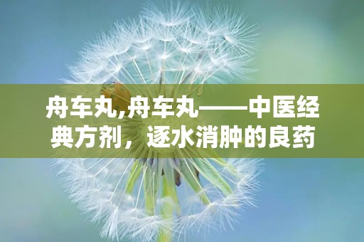 舟车丸,舟车丸——中医经典方剂，逐水消肿的良药