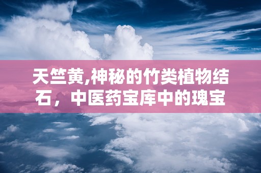 天竺黄,神秘的竹类植物结石，中医药宝库中的瑰宝