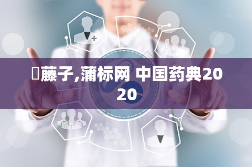 榼藤子,蒲标网 中国药典2020