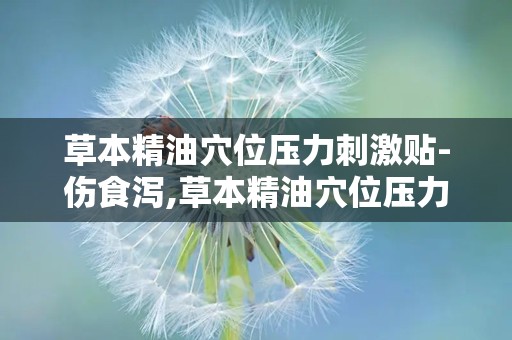 草本精油穴位压力刺激贴-伤食泻,草本精油穴位压力刺激贴——伤食泻的天然疗法