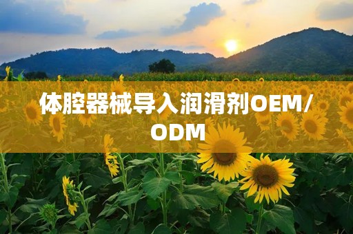 体腔器械导入润滑剂OEM/ODM