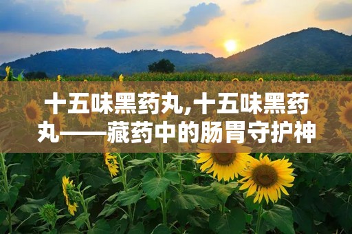 十五味黑药丸,十五味黑药丸——藏药中的肠胃守护神