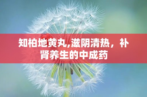 知柏地黄丸,滋阴清热，补肾养生的中成药