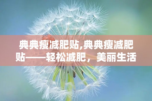 典典瘦减肥贴,典典瘦减肥贴——轻松减肥，美丽生活从此开始