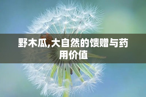 野木瓜,大自然的馈赠与药用价值