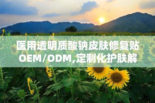 医用透明质酸钠皮肤修复贴OEM/ODM,定制化护肤解决方案