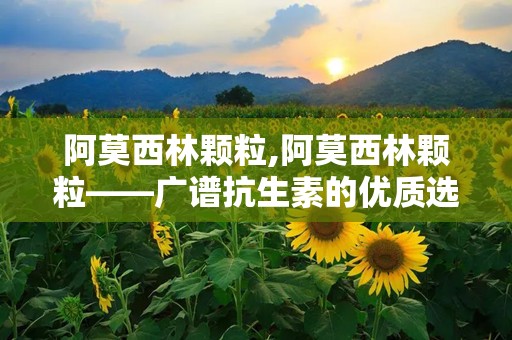 阿莫西林颗粒,阿莫西林颗粒——广谱抗生素的优质选择