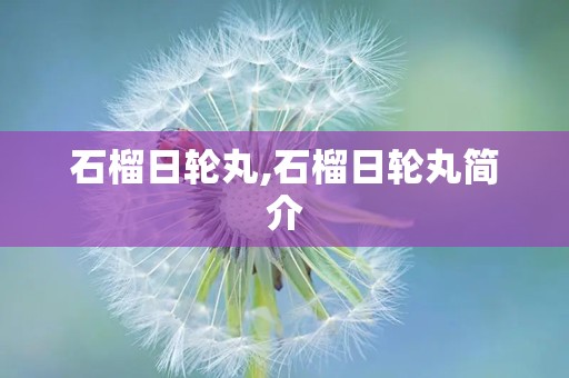 石榴日轮丸,石榴日轮丸简介