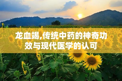 龙血竭,传统中药的神奇功效与现代医学的认可