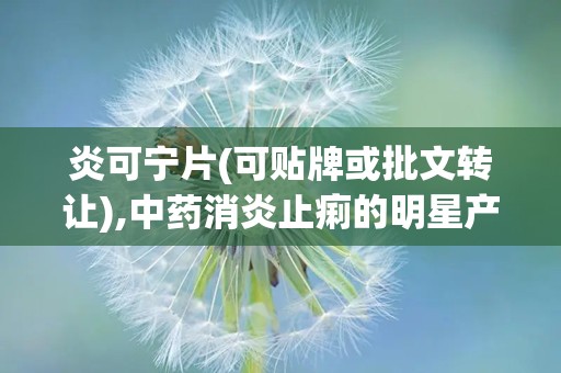 炎可宁片(可贴牌或批文转让),中药消炎止痢的明星产品