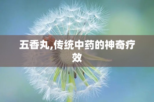 五香丸,传统中药的神奇疗效