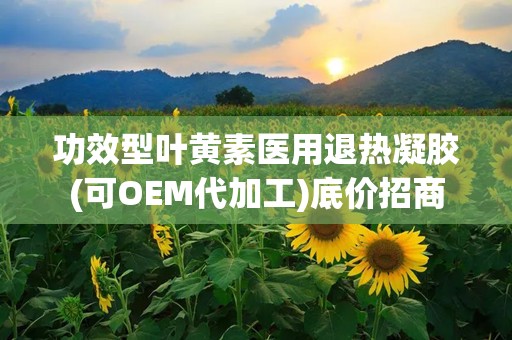 功效型叶黄素医用退热凝胶(可OEM代加工)底价招商