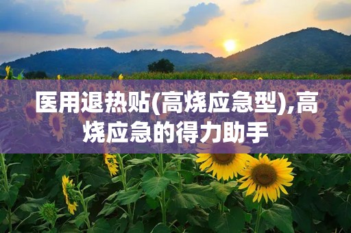 医用退热贴(高烧应急型),高烧应急的得力助手