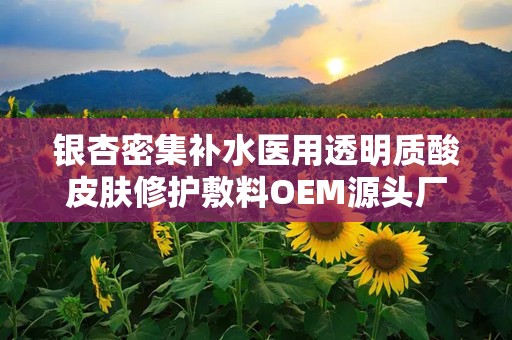 银杏密集补水医用透明质酸皮肤修护敷料OEM源头厂家,医用透明质酸钠凝胶生产厂家