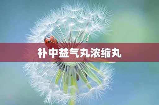 补中益气丸浓缩丸