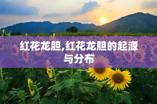 红花龙胆,红花龙胆的起源与分布