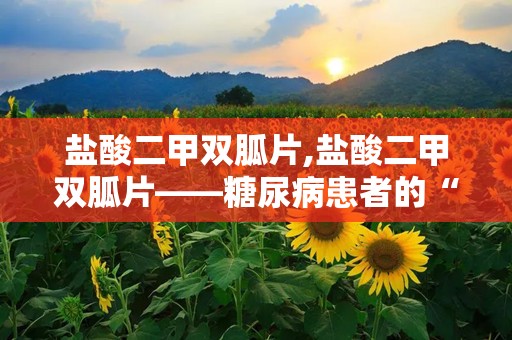 盐酸二甲双胍片,盐酸二甲双胍片——糖尿病患者的“贴心”良药